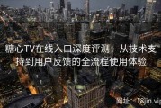 糖心TV在线入口深度评测：从技术支持到用户反馈的全流程使用体验