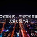 王者荣耀黄化网，王者荣耀黄化网站无爱心图片男