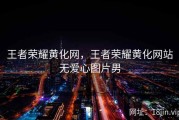 王者荣耀黄化网，王者荣耀黄化网站无爱心图片男