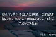 糖心TV平台全新纪实报道：如何借助糖心官方网站入口和糖心TV入口实现资源高效整合